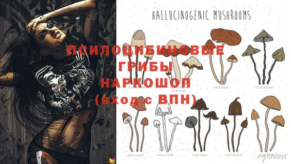 кокс Алексеевка