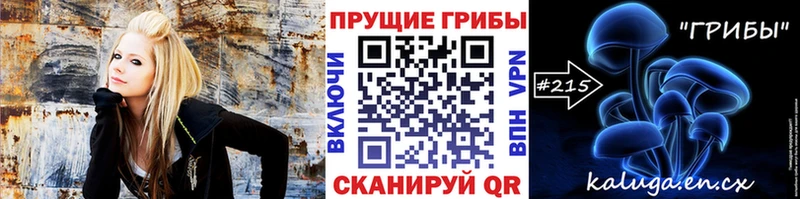 Псилоцибиновые грибы Psilocybe  Казань 